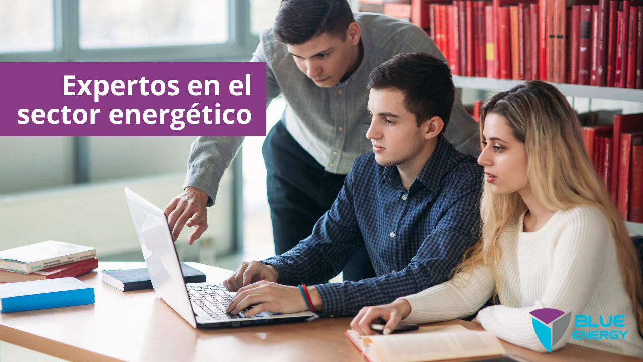 Expertos sector energético